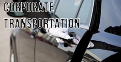 Niagara Falls Airport Limo